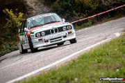 14.-revival-rally-club-valpantena-verona-italy-2016-rallyelive.com-0466.jpg